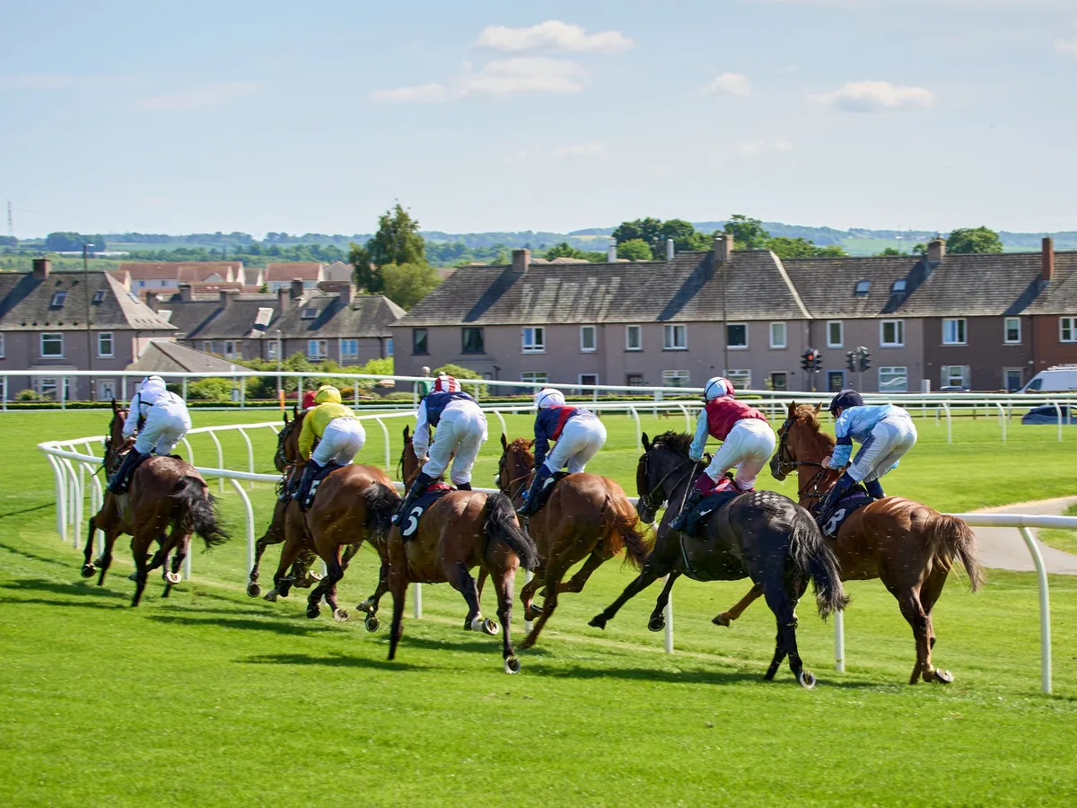 Jockeys on horses racing on a grass track